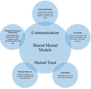 Fig. 10.1 Shared set of knowledge, skills, attitudes, and coordinated by communication