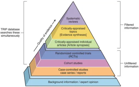 Fig. 9.2 Pyramid of evidence