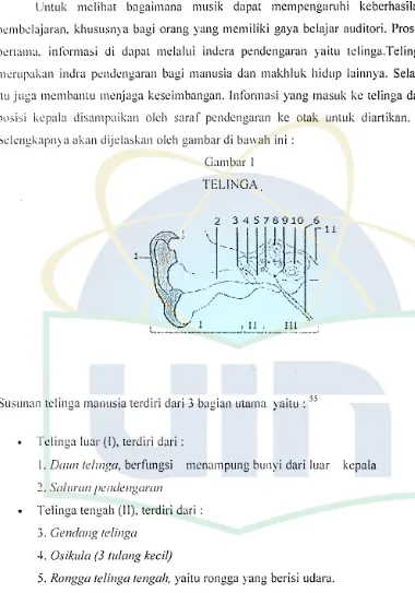 Gambar I TELINGA 