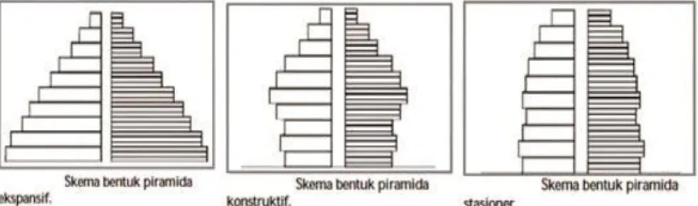 Gambar Piramida Penduduk  Sumber: solusi pendidikan.com 