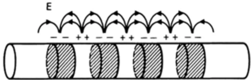 Fig. 4.4 Plasma oscillations propagate in a finite medium because of fringing fields