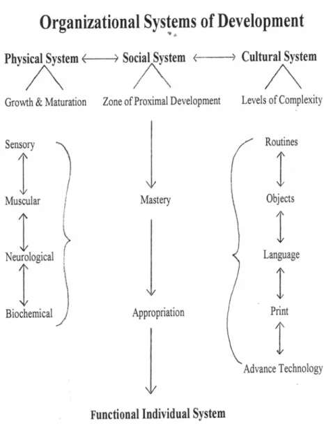 Figure 1. Functional Individual System 