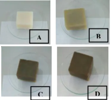 Gambar 1. Sabun padat transparan   (A)  Formula  dengan  tanpa  ekstrak  daun  teh      (B)  Formula  dengan  ekstrak daun teh 1,5 % 