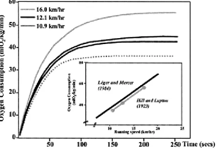 Figure 4.3 Main figure: The original  data of Hill and Lupton (1923)  purportedly showing a ‘plateau’ in  oxygen consumption during ‘maximal  exercise’