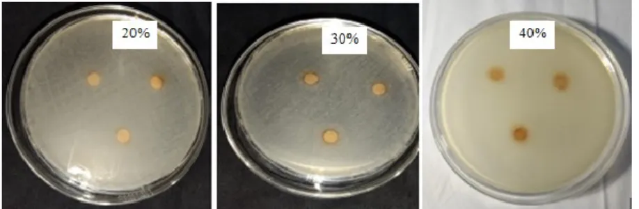Gambar 1. Zona hambat ekstrak dengan berbagai konsentrasi terhadap bakteri E. coli  Aktivitas  antibakteri  ekstrak  kulit 