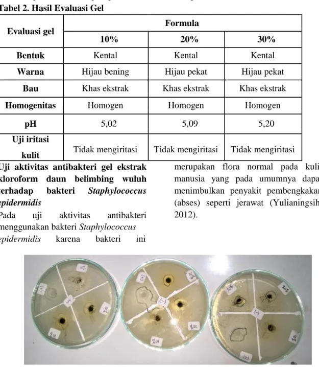 Tabel 2. Hasil Evaluasi Gel 