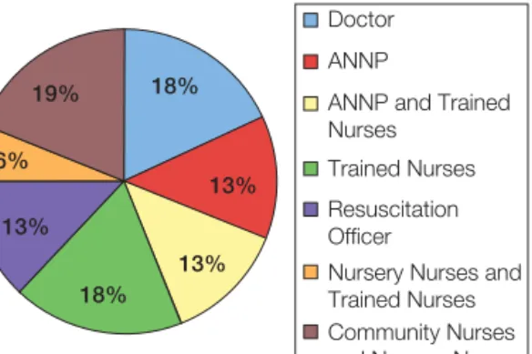 Figure 15.1    Designation of trainer  (ANNP, Advanced Neonatal Nurse Practitioner)