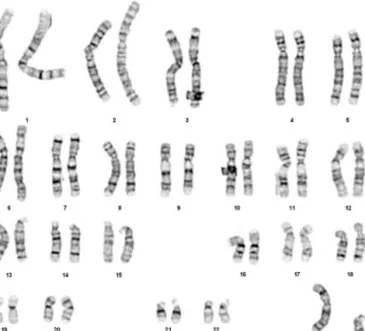 Figure 5.2    Normal karyotype. (Reproduced with permission from Levison D, Reid R and Burt A et al