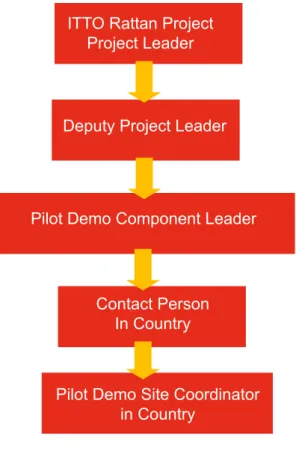 Figure 1. Organizational chart of the pilot   demonstration in the Philippines  