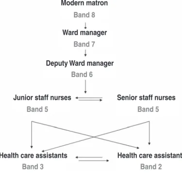 Figure 1.1 Example of nursing hierarchy.