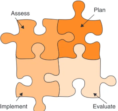Figure 3.5 Key steps in the nursing process.