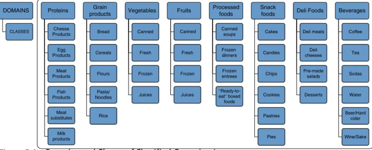 Figure 3.1  Domains and Classes of Classified Groceries, Inc.