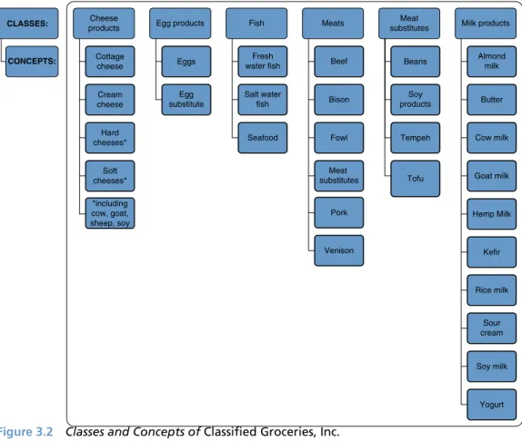 Figure 3.2  Classes and Concepts of Classified Groceries, Inc.