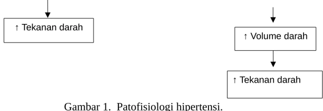 Gambar 1.  Patofisiologi hipertensi. (Sumber: Rusdi &amp; Nurlaela Isnawati, 2009)