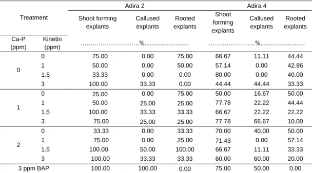 Table 1. Percentage of shoot forming explants, callused explants, and rooted explants of Cassava Adira2 and  Adira 4 variety at 10 WAP 