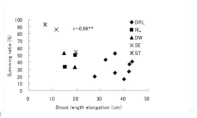 Figure 1.  Effect  of  shoot  length  elongation  on  survival  rate.  Survival  rate  was  calculated  for  number  of  plants  before submergence divided by number of surviving plants at 19 day after desubmegence 