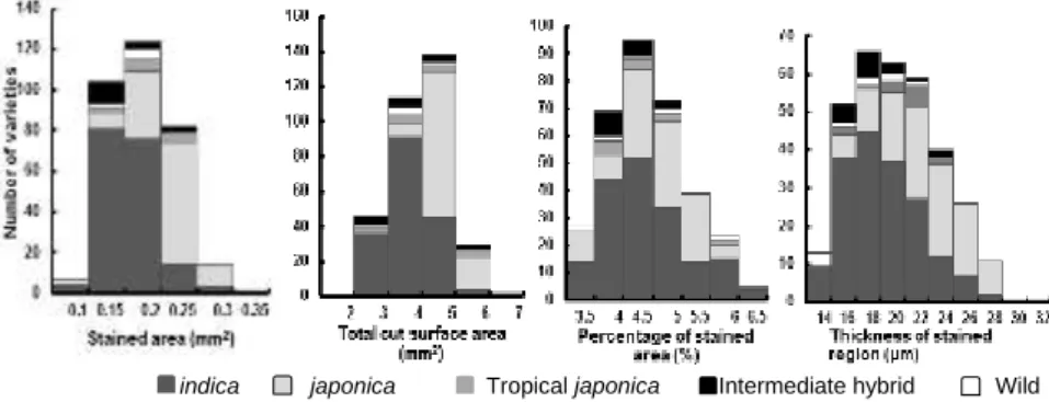 Figure 2. The relationship between the stained area (mm 2 ) and total cut surface area (mm 2 ) of 333 rice varieties