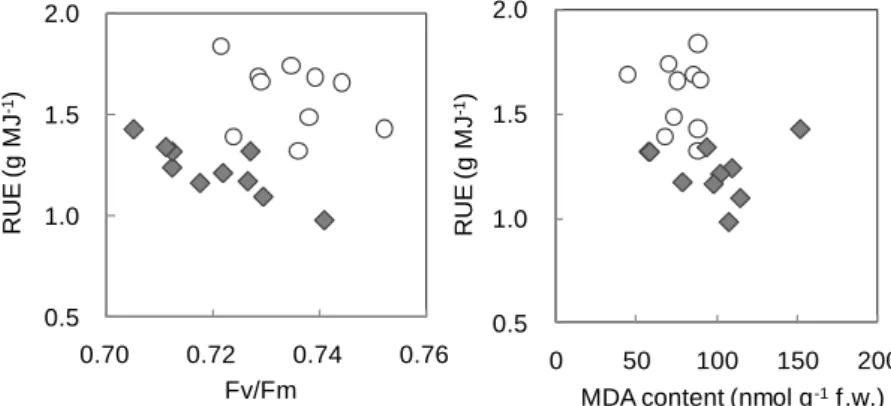 Figure 3. Relationships of RUE to Fv/Fm and to MDA content.  