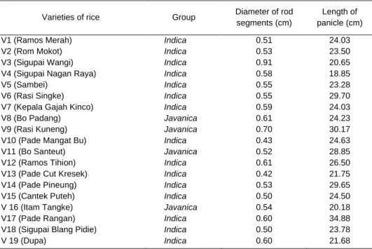 Table 2. Classification of rice based on morphological characters, diameter of rod segment and panicle length of  rice plants 
