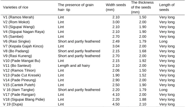 Table  3.  The  presence  of  feather  tip  of  grain,  seeds  character  width,  thickness  and  length  of  seed  grain  Aceh  local 