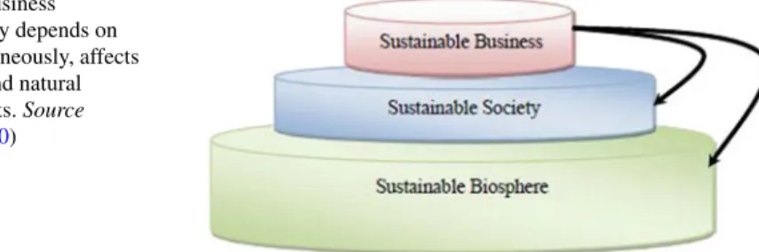 Fig. 5.1 Business sustainability depends on and, simultaneously, affects the social and natural environments
