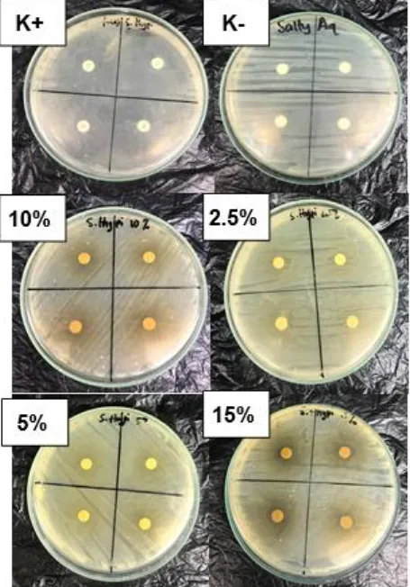 Gambar 6. Zona hambat  pertumbuhan  koloni bakteri S. aures 