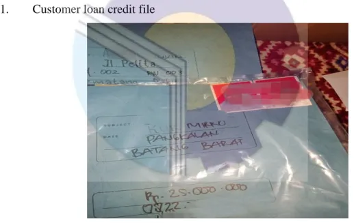 Figure 2.4 customer loan credit file  Source: Documentation,2022 