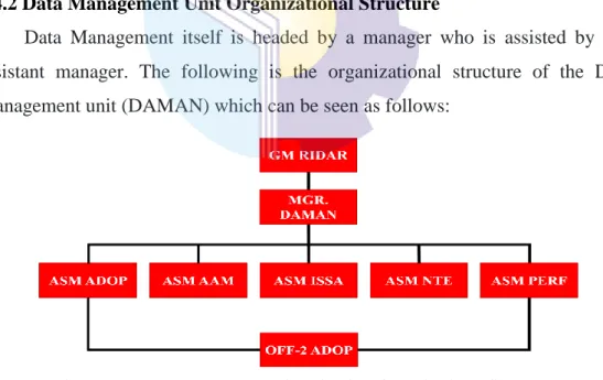 Figure 2.3 Data Management Unit (DAMAN) Organizational Structure  Source: Processed Data 2022 