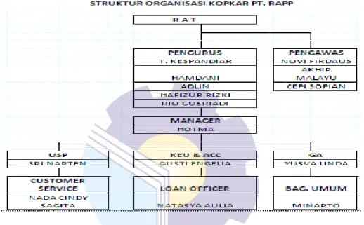 Figure 2.3 Organizational Structure of KOPKAR PT. RAPP  Source: Processed Data, 2021 