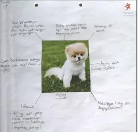 Graphic Organizer 