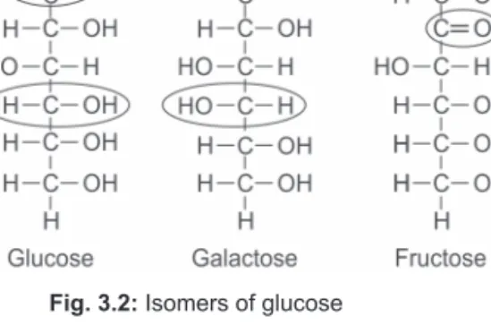 Fig. 3.3: Enantiomers