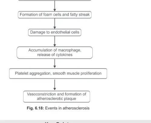 Fig. 6.18: Events in atherosclerosis
