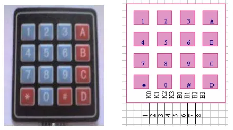 Gambar 3.5 Keypad dan Konfigurasi Pin Keypad 