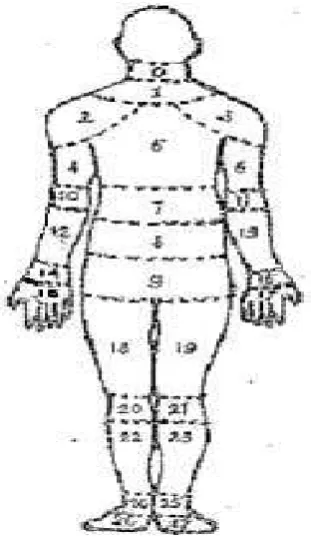 Gambar  Nordic Body Map 