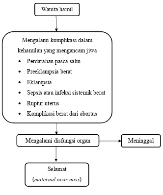 Gambar.3.1. Kerangka Konsep Penelitian 