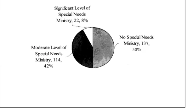 Figure 6.  Special needs ministries for the sample population 
