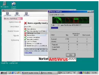 Gambar 3. Scan virus Norton (under windows)