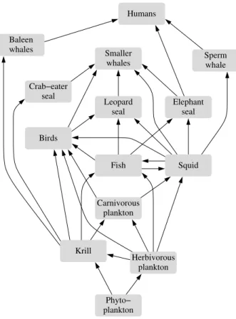 Figure 5.9: A food web of species in Antarctica. Nodes in a food web represent species or sometimes, as with some of the nodes in this diagram, groups of related species, such as fish or birds