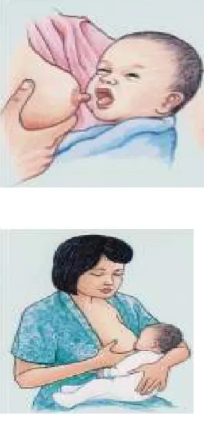 Gambar  4.  Cara 