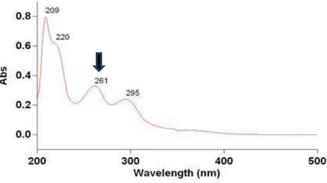 Gambar 4.1. Spektrum Ultraviolet-Visible (UV-Vis) senyawa hasil isolasi 