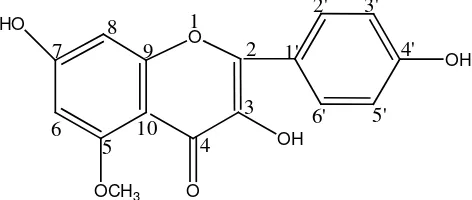 Gambar 4.4 Senyawa Hasil Isolasi (Flavonol) 