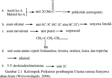 Gambar 2.1  Kelompok Prekursor pembangun Utama semua Senyawa  BahanAlam (Wiryowidagdo, 2008)