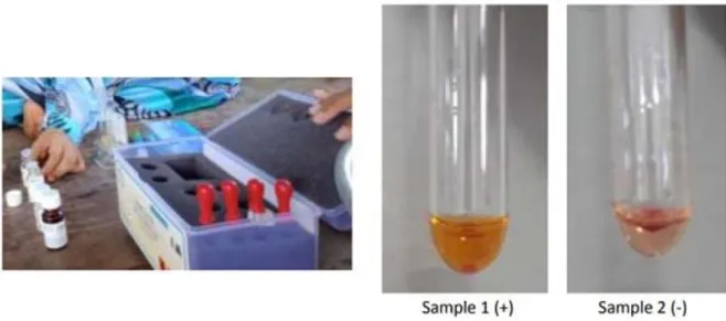 Gambar 4 : Hasil identifikasi sample 1 dan 2 