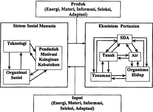 Gambar 1.  Interaksi Sistem Sosial Man usia dan  Ekosistem Pertanian (Modifikasi  dari  Bennet,  1976: 