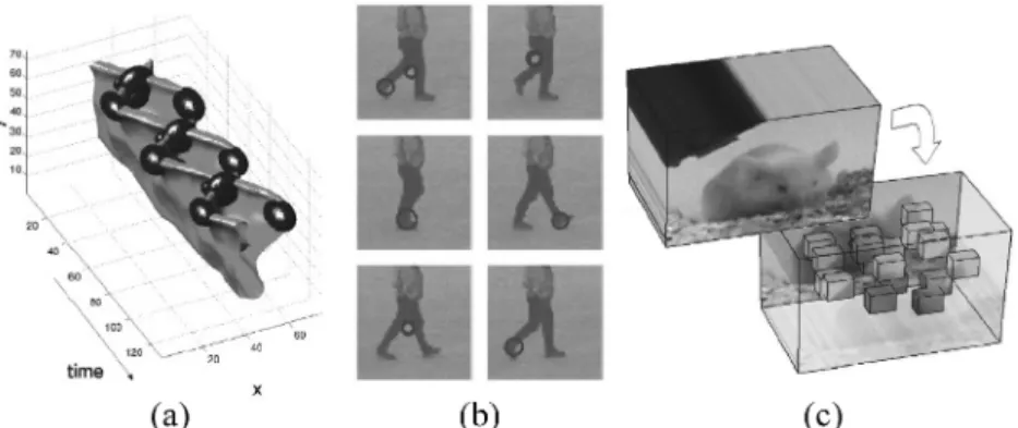 Fig. 7. Example 3-D space-time local features extracted from a video of the human action of walking [Laptev and Lindeberg 2003] ( c  2003 IEEE), and features from a mouse movement video [Dollar et al