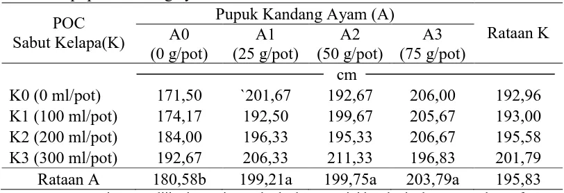 Tabel 5. Tinggi tanaman dengan pemberian pupuk organik cair sabut kelapa dan  pupuk kandang ayam Pupuk Kandang Ayam (A) 