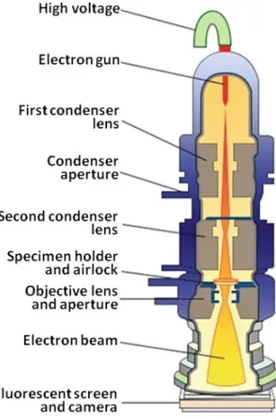 Figure 6.6 shows an example of bright- ﬁ eld and dark- ﬁ eld images from the same area of a specimen