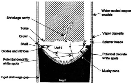 Fig. 1.8 VAR process geometry showing locations of sources for potential fall-in of discrete particles [16]