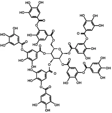 Fig. 4.1 Chemical structure of tannic acid (Reproduced with permission from Ref. [3], Copyright (2010), Elsevier)