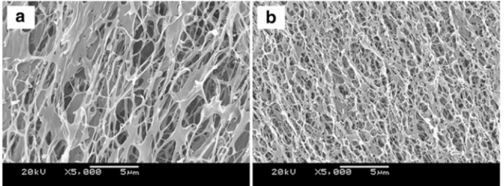 Fig. 1.15 SEM images of the internal microstructures of (a) MCG2-1.5 and (b) MCG2-0.5 PNIPAM hydrogels